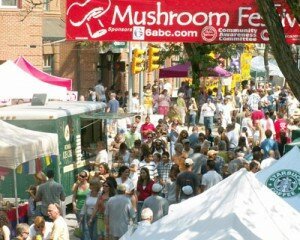 mushroomfestival