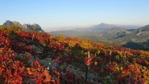 Provence Vineyards Landscapes - copy Benoit Dignac ADT Vaucluse