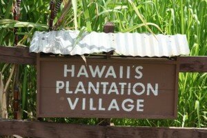 hawaii-plantation-village-sign