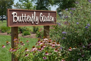 butterfly garden