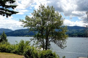 USA_Washington_lake_sammamish_35