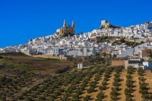 24501193-view-of-olvera-one-of-the-white-villages-of-the-province-of-cadiz-andalusia-spain
